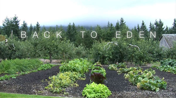 Back To Eden Gardening Journey, Back To Eden Gardening